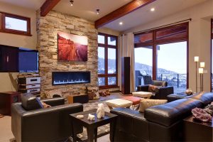 fireplace and leather couches